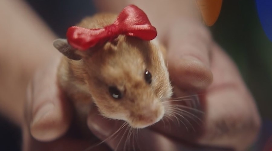 RT поздравил европейцев с «русофобским» Рождеством видеороликом о спасительном хомячке