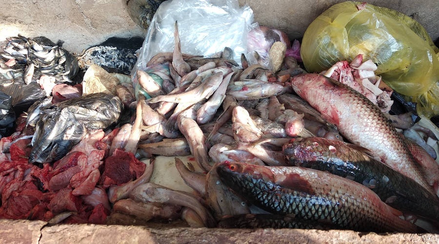 Специалисты Госкомветеринарии изъяли в Симферополе более 300 кг рыбы
