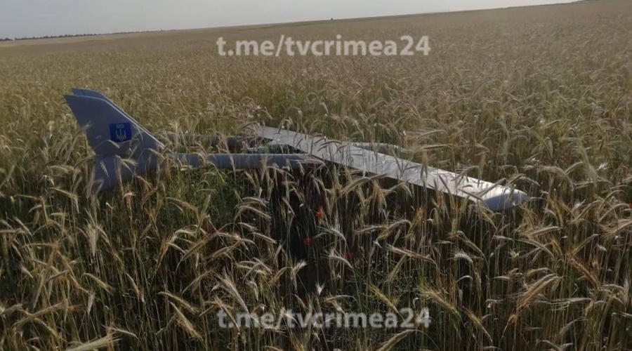 Украинский беспилотник приземлили в северном Крыму