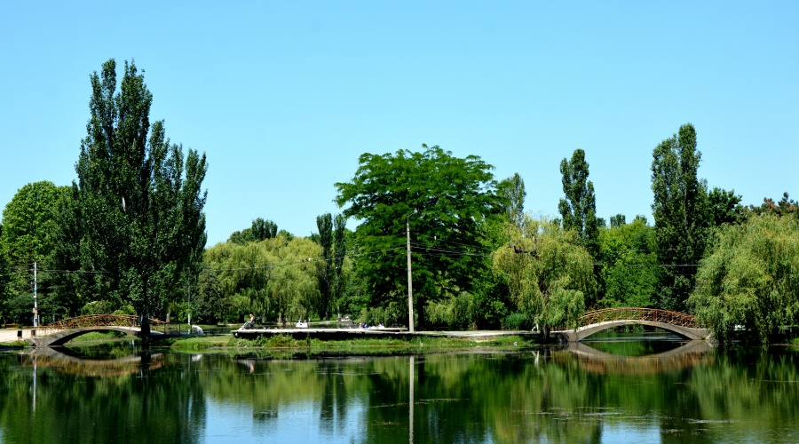 Территория симферопольского парка им. Гагарина очищена от амброзии