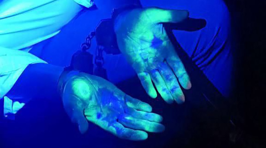 Бывший и.о. замгубернатора Севастополя Горлов отправлен в колонию по делу о взятке