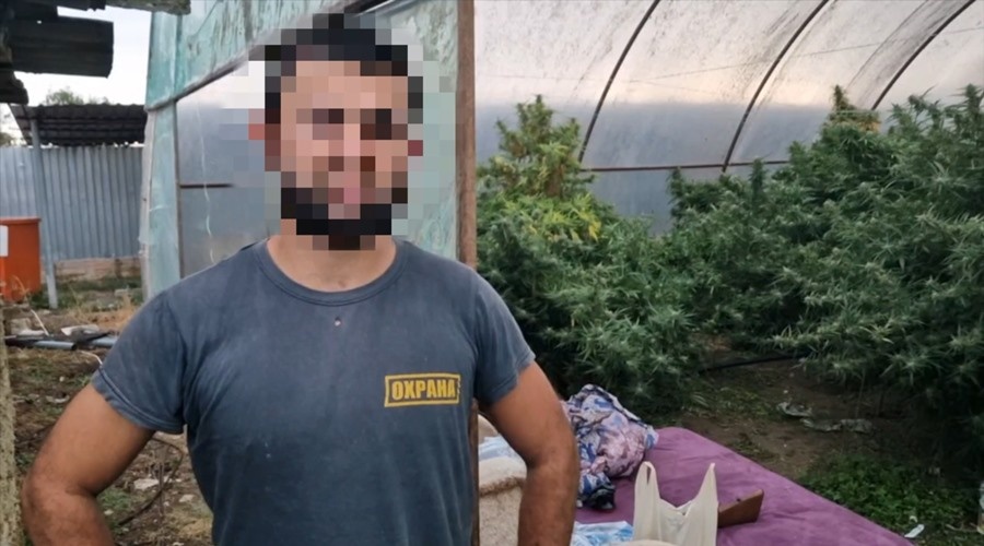 ФСБ в Крыму нашла дома у наркодилера плантацию конопли