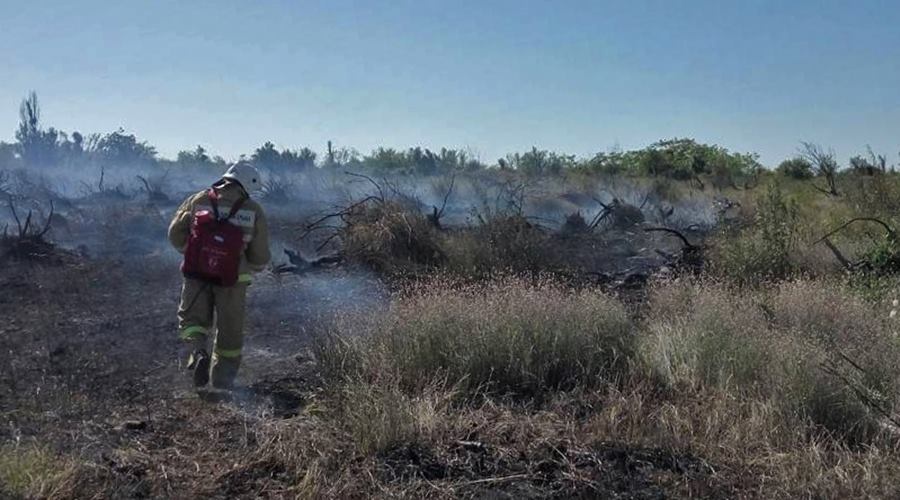 Сотрудники МЧС потушили в Крыму степные пожары на общей площади более 4 гектаров