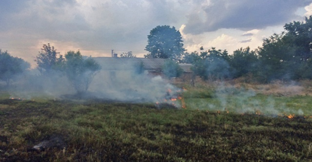 Более тысячи квадратных метров сухостоя сгорело в Крыму в минувшие сутки
