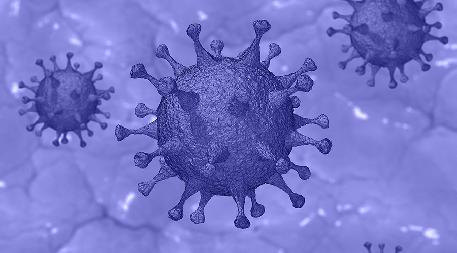 Инфекционист рассказал о принципе действия коронавирусной инфекции