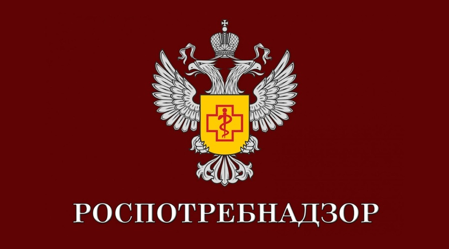 Жителям Крыма напомнили правила безопасного питания без электроэнергии