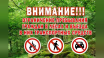 В Крыму на три недели ограничат посещение лесов