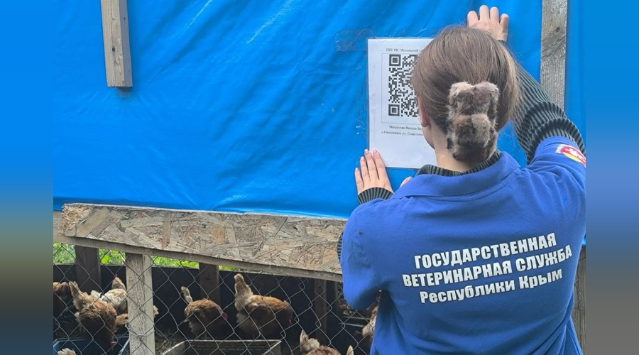 Ялтинские ветеринары провели маркировку домашней птицы