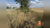 Два человека пострадали в ДТП с несовершеннолетним водителем