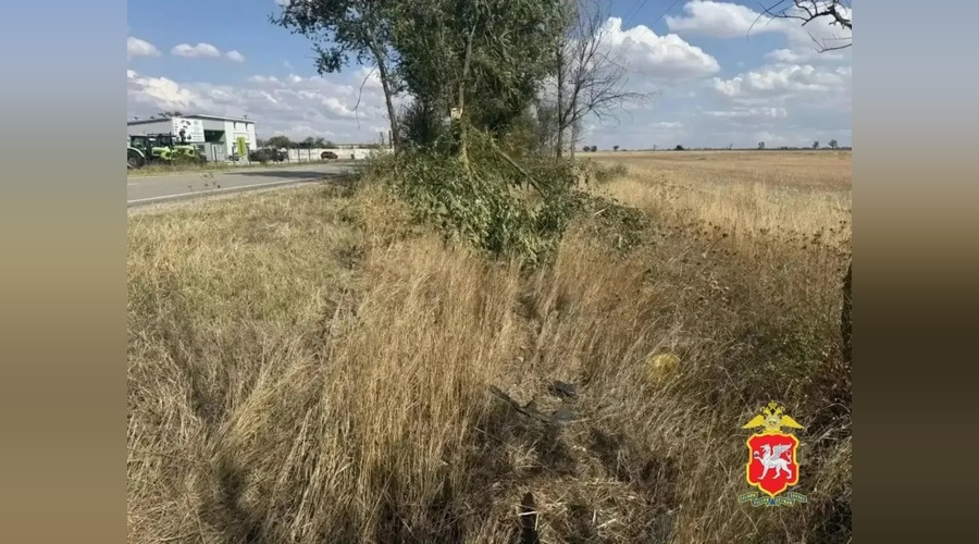 Два человека пострадали в ДТП с несовершеннолетним водителем