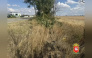Два человека пострадали в ДТП с несовершеннолетним водителем