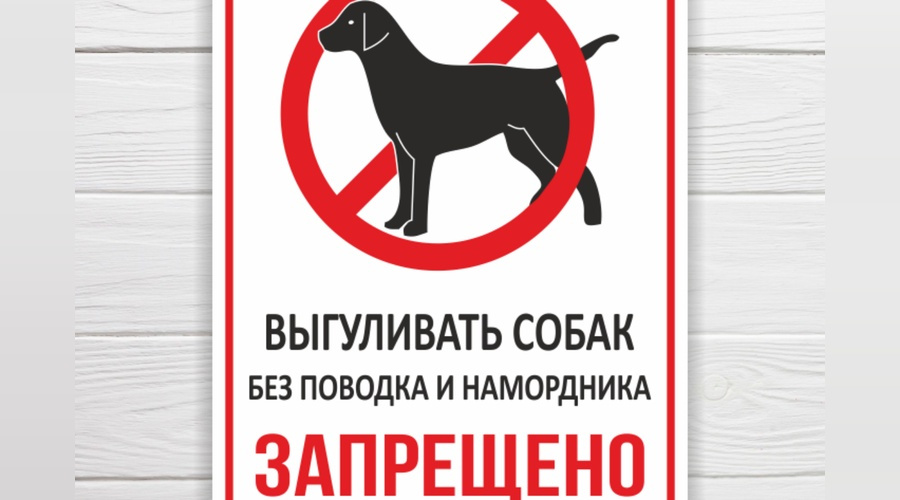 Троих владельцев собак привлекли к ответственности за нарушение правил выгула