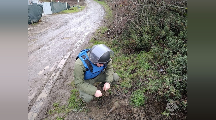 Пиротехники МЧС обезвредили восемь взрывоопасных предметов в Крыму
