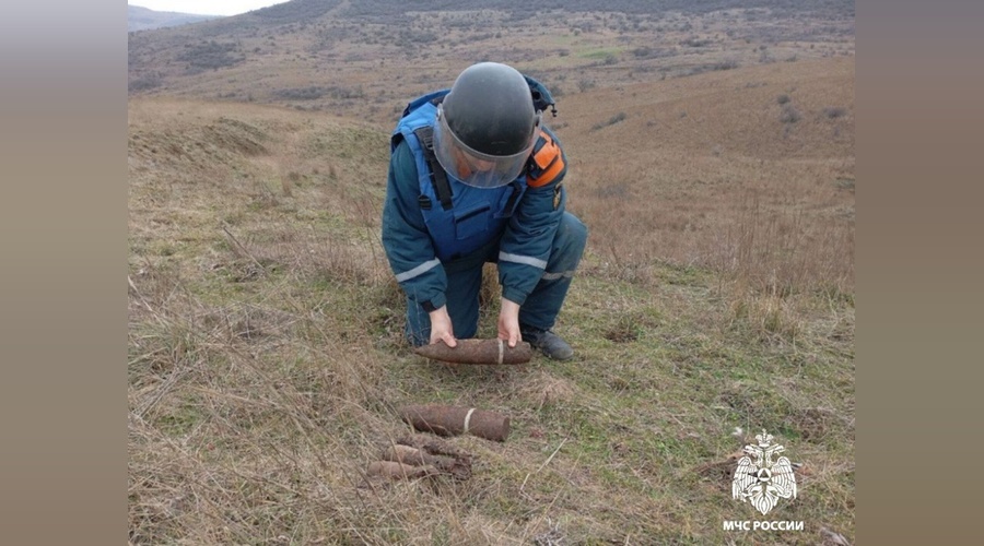 Пиротехники МЧС уничтожили 20 взрывоопасных предметов времен Великой Отечественной войны