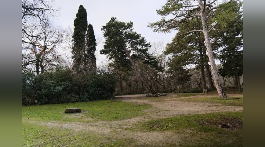 Жители Гаспры подключились к обсуждению проекта благоустройства парка «Ясная Поляна»