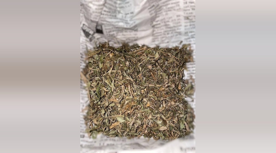 Мужчине из Джанкойского района назначили условный срок за коноплю с огорода