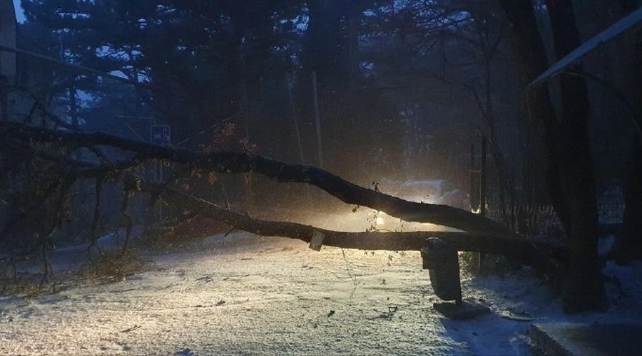 Шквалистый ветер оставил часть Ялты без света