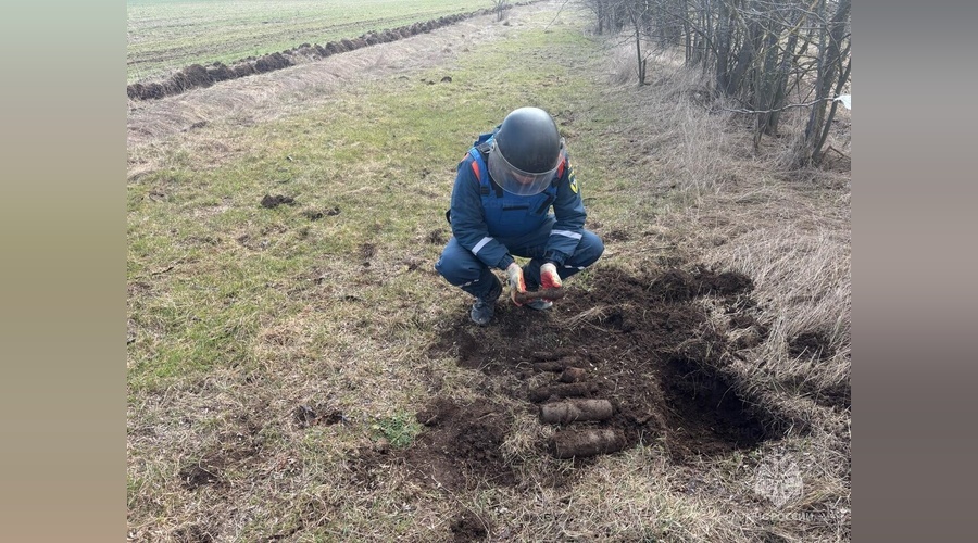 Пиротехники МЧС обезвредили снаряды времен ВОВ в Ленинском районе Крыма