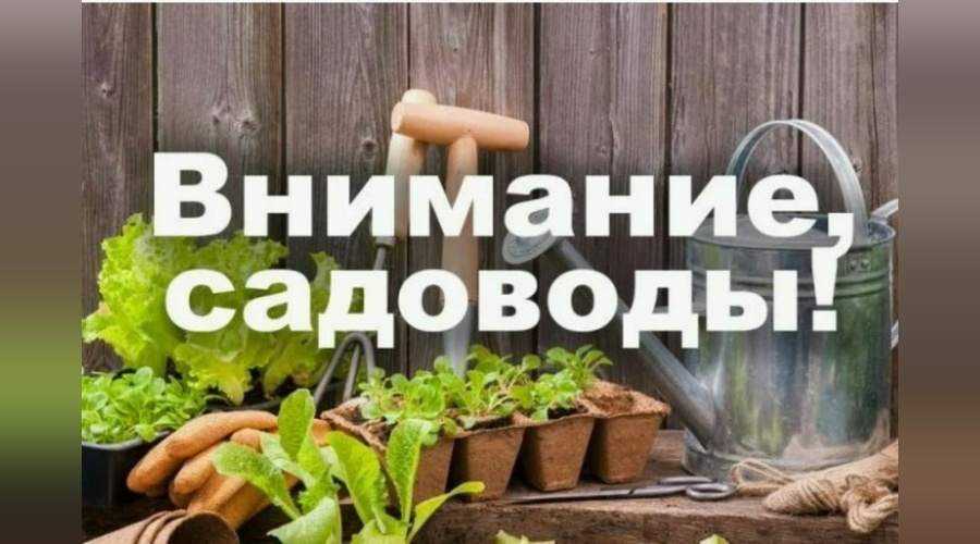 Члены крымских СНТ могут бесплатно оформить садовые участки в собственность