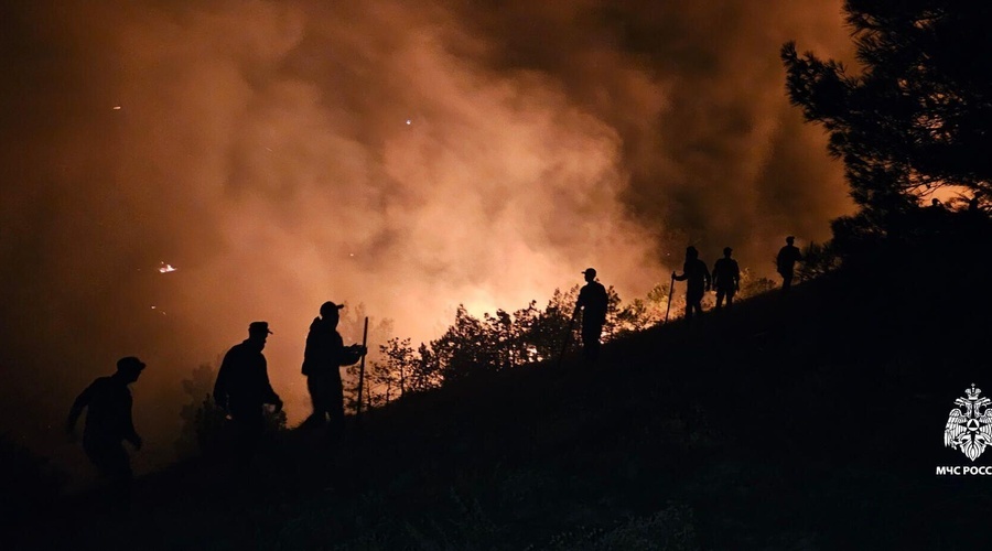 Крупный пожар камыша ликвидирован в Сакском районе