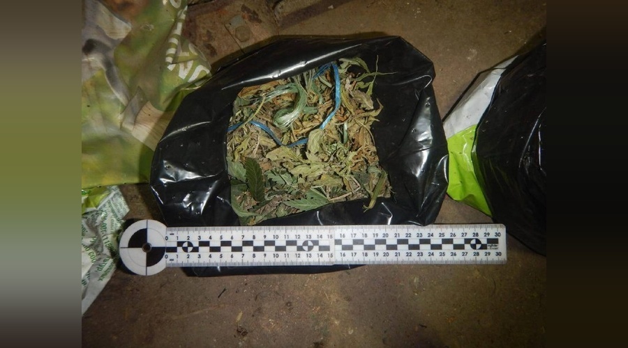 Жителя Джанкойского района осудили за хранение конопли