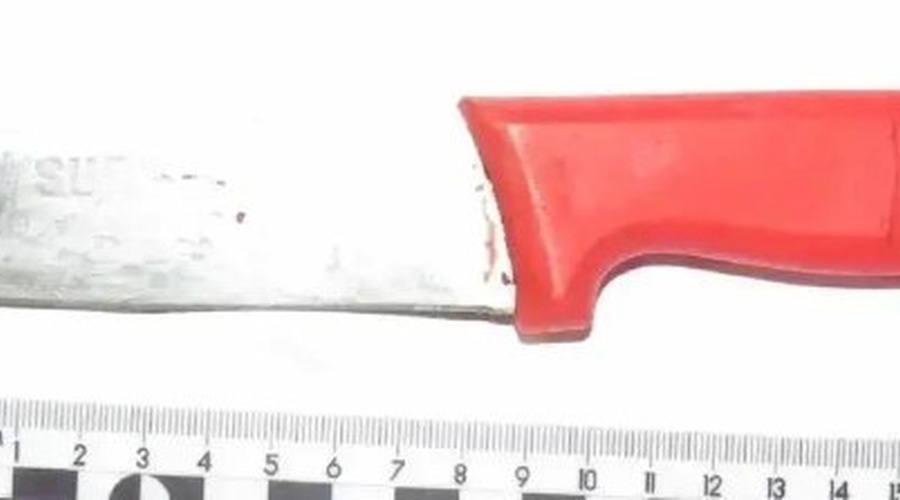 В Нижнегорском районе перед судом предстанет мужчина за нападение с ножом