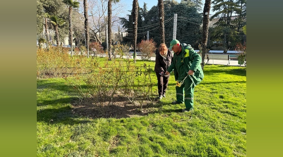 Ялтинские розарии готовят яркий сюрприз для жителей и туристов