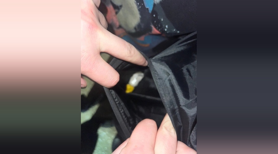 Полицейские задержали симферопольца с крупной партией мефедрона