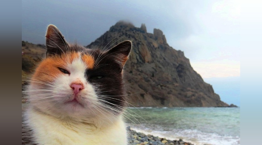 Лучшие работы фотоконкурса «Крым в моем сердце» представили в Москве