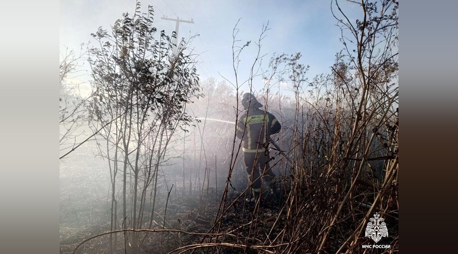 В городском округе Феодосия тушат крупное возгорание сухой травы