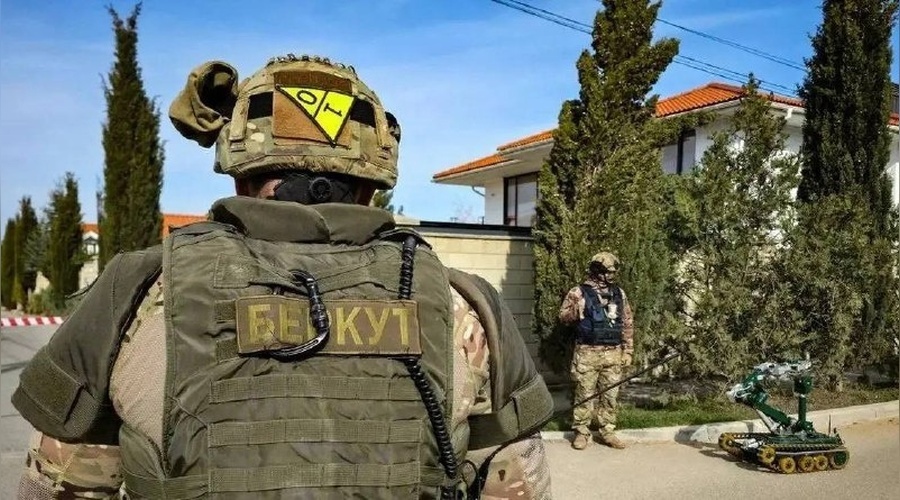 В районе бухты Омега ликвидирован упавший беспилотник с взрывным устройством