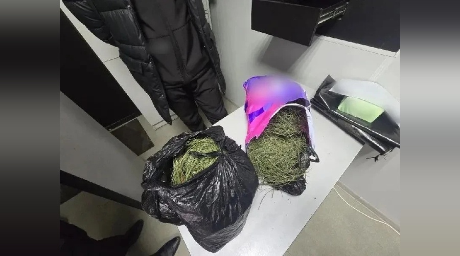 Жителя Красногвардейского района подозревают в незаконном хранении растительного сырья с прекурсорами