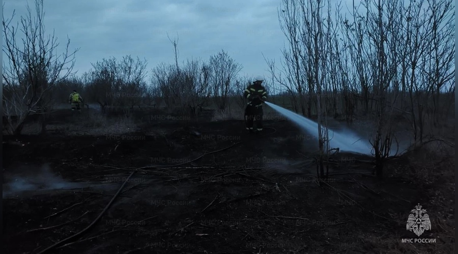 За неделю в Крыму произошло 24 пожара