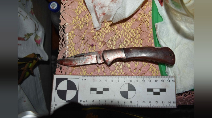 Сын зарезал родную мать и спрыгнул с третьего этажа в окно