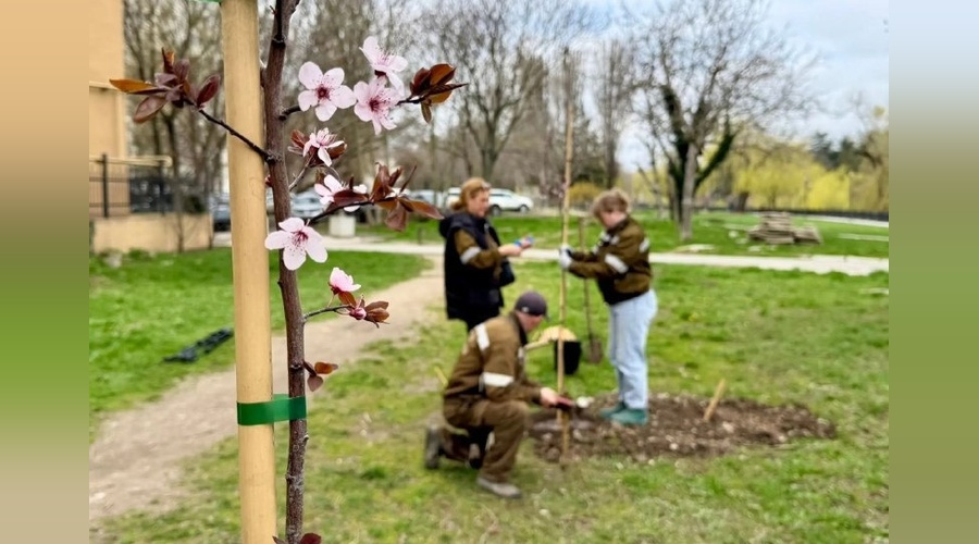 В симферольском парке им. Гагарина появилась Аллея Российского театрального общества