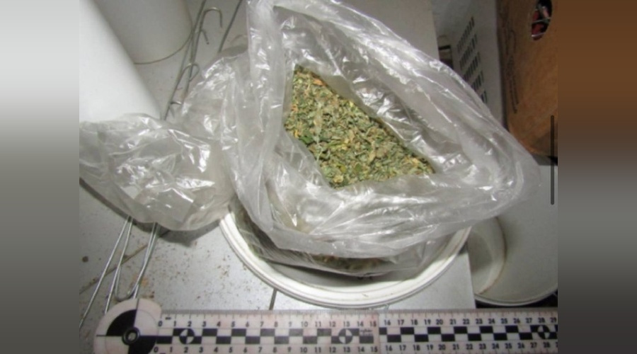 Полицейские изъяли 29 кустов конопли у жителя Советского района