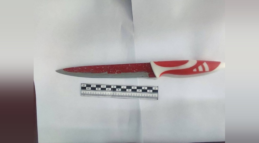 Жительницу Симферопольского района осудили за попытку расправы над спящим мужчиной