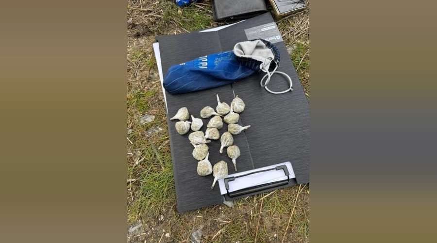 Полицейские пресекли хранение марихуаны у 21‑летнего жителя Феодосии