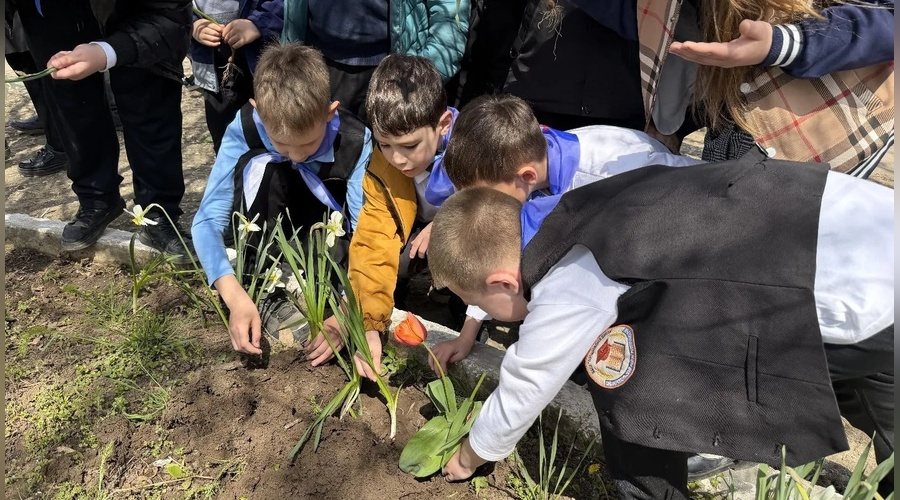 Школьники и педагоги присоединились к акции «Зелёная весна»