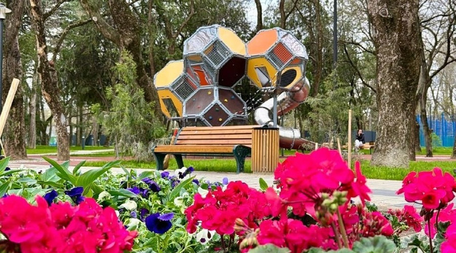 3 тысячи растений украсят обновлённый Детский парк в Симферополе