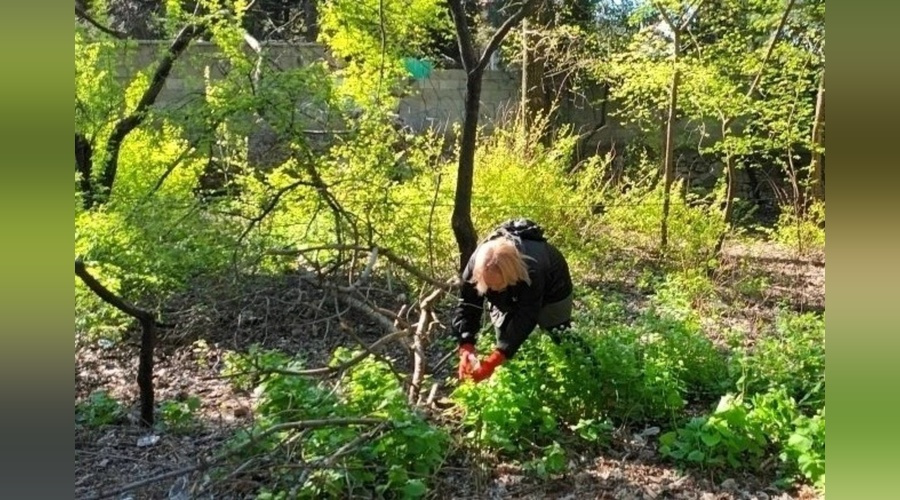 Более 30 тонн мусора убрали в Ялте за субботник