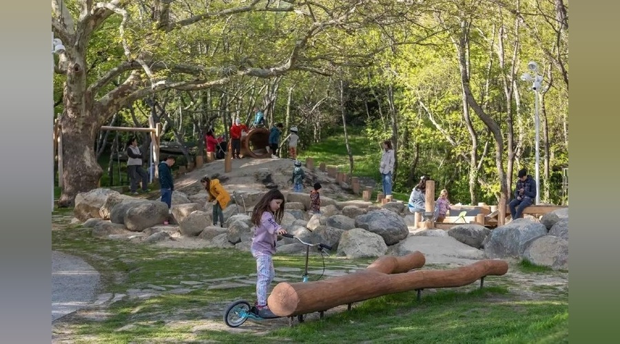 Милютинский парк в Алупке получил две престижные награды всероссийского конкурса