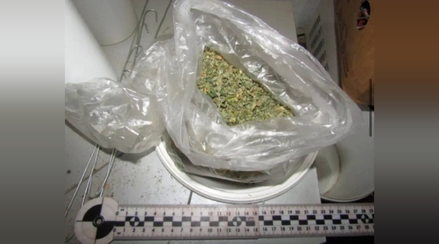 Жителя Симферополя осудили за сбыт каннабиса