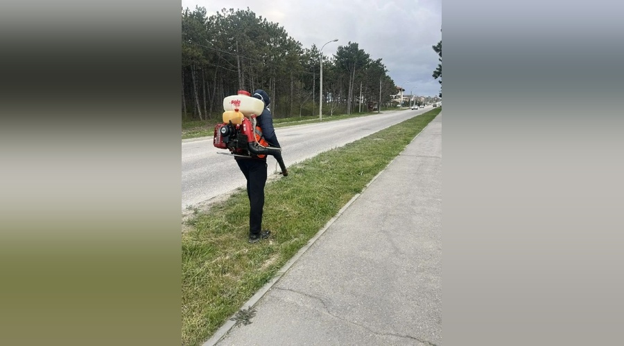 Около 130 гектаров в Симферополе обработали от клещей
