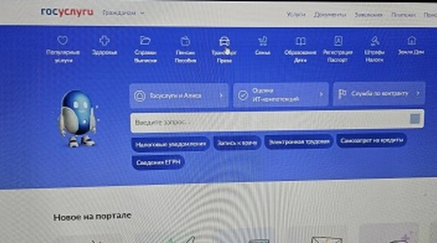 Арбитражные управляющие через Госуслуги получили доступ к данным о транспорте должников