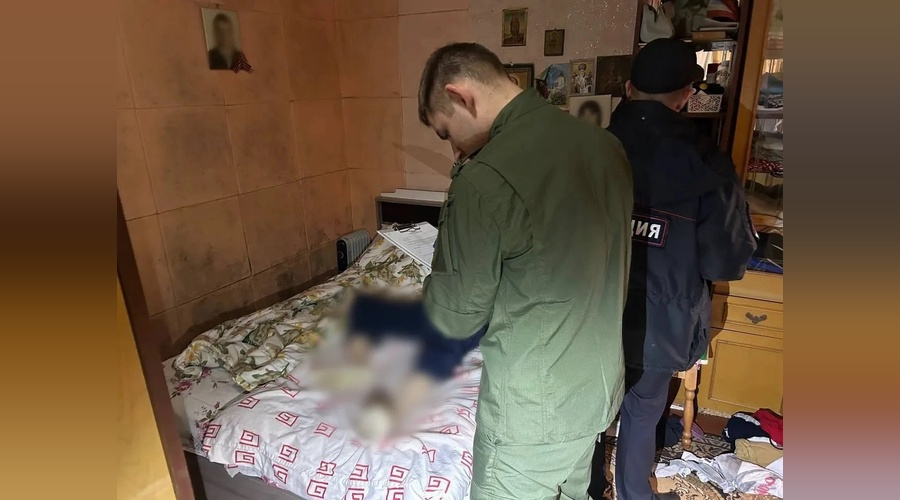 Жителя села Трудовое обвиняют в расправе над матерью