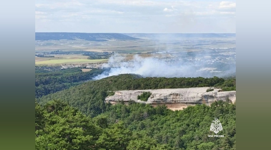 В Бахчисарайском районе Крыма локализовали лесной пожар