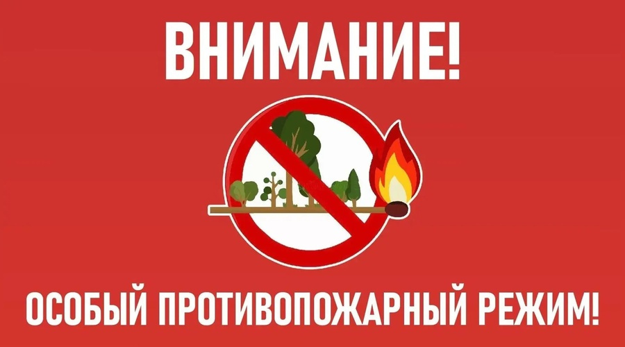 В Крыму с сегодняшнего дня начал действовать особый противопожарный режим