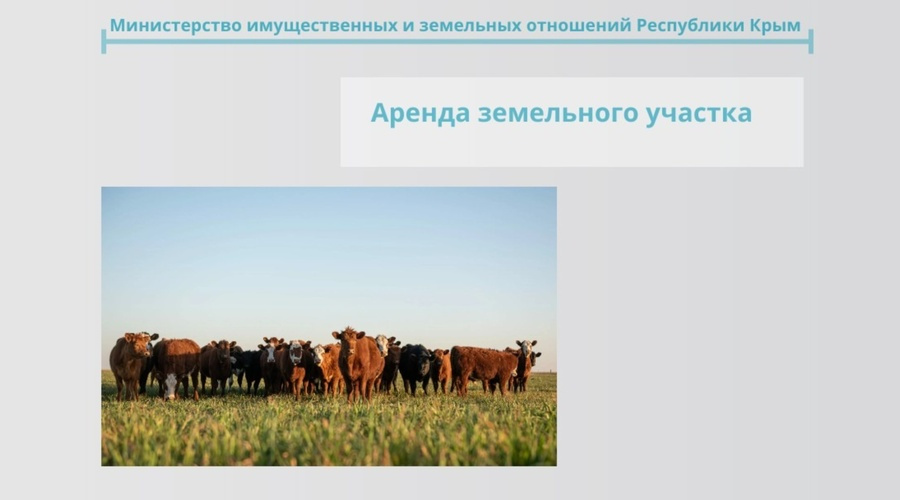 Минземимущество Крыма выставило на аренду участок для выпаса животных