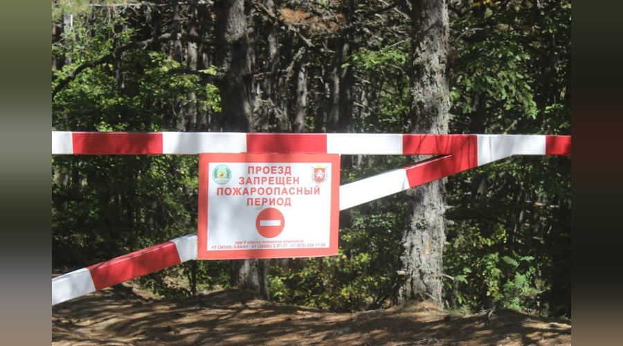С 1 июля в Крыму ограничили посещение лесов